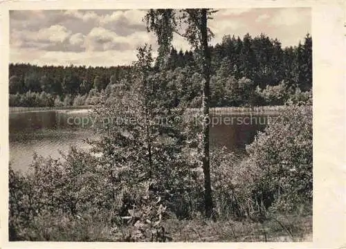 AK / Ansichtskarte  Silbersee Pillauken Pilawki Liebemuehl Milomlyn PL Serie Ostpreussische Landschaft Einsamer Waldsee