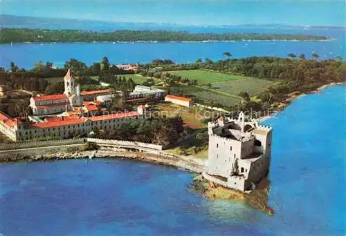 AK / Ansichtskarte  Cannes 06 Les Iles de Lerins Ile de Saint-Honorat Monastère et le château vue aérienne