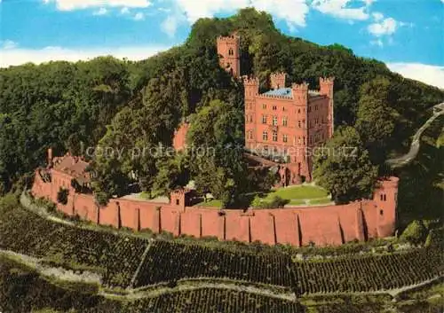 AK / Ansichtskarte  Ortenberg Baden Jugendherberge Schloss Ortenberg im Kinzigtal