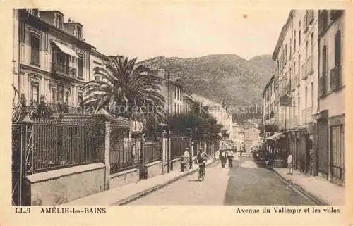 AK / Ansichtskarte  Amelie-les-Bains-Palalda 66 Pyrenees-Orientales Avenue du Vallespir et les villas