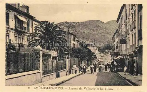 AK / Ansichtskarte  Amelie-les-Bains-Palalda 66 Pyrenees-Orientales Avenue du Vallespir et les Villas