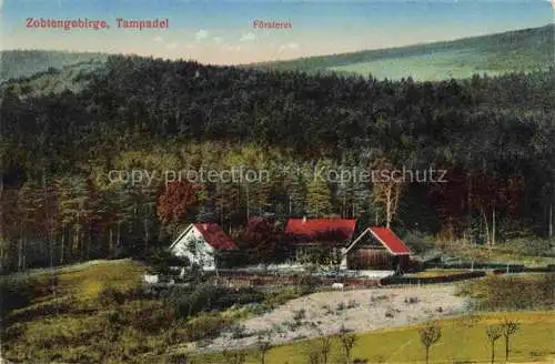 AK / Ansichtskarte  Tampadel Tapadla Zobten Sleza Niederschlesien PL Zobtengebirge Foersterei