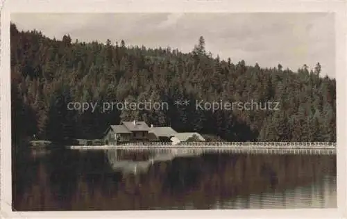 AK / Ansichtskarte  Smolnik Schmoellnitz Gelnica Slovakia Uhornaer Teich