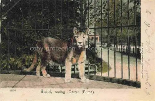 AK / Ansichtskarte  Zoo Gardin Zoologique-- Basel Puma Litho 