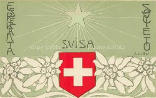 AK / Ansichtskarte  Esperanto Svisa A. Haller Societo