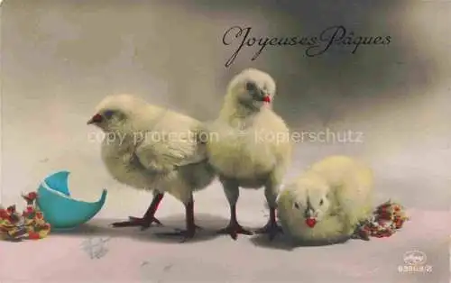 AK / Ansichtskarte  Foto Amag Nr. 63963/2 Ostern Easter Paques Pasqua Kueken Ei Schweiz