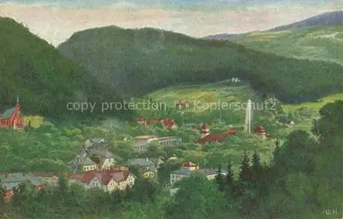 AK / Ansichtskarte  Reinerz Bad Niederschlesien Duszniki-Zdroj PL Herzbad Reinerz Panorama