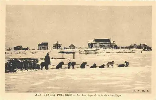 AK / Ansichtskarte  Canada Kanada Glaces Polaires Schlittenhunde