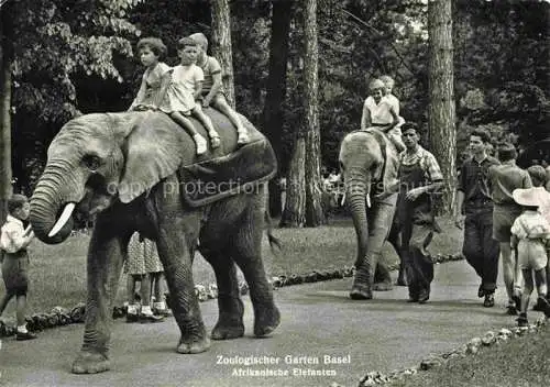 AK / Ansichtskarte  Zoo Gardin Zoologique-- Basel Afrikanische Elefanten