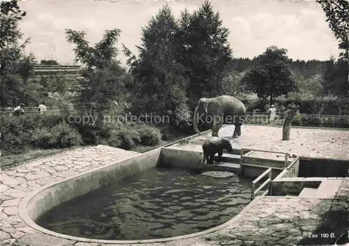 AK / Ansichtskarte  Zoo Gardin Zoologique-- Zuerich Indischer Elefant