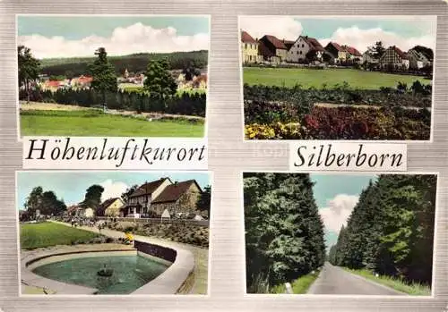 AK / Ansichtskarte  Silberborn Holzminden Solling Panorama Park Landstrasse