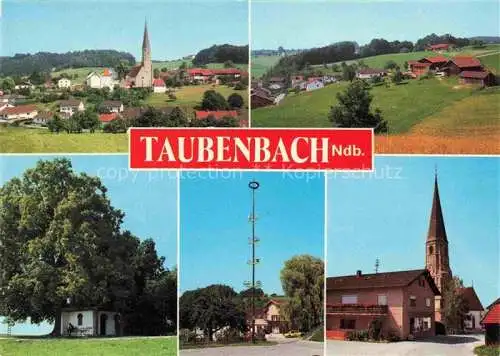 AK / Ansichtskarte  Taubenbach Niederbayern Ortsansicht mit Kirche Maibaum