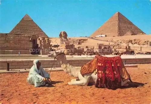 AK / Ansichtskarte  Kamele  Camel Chameau-- Egypt Giza Pyramid