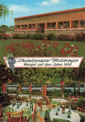 AK / Ansichtskarte  Oestrich-Winkel Molsberger's Rheinterrasse und Weinstube Weingut