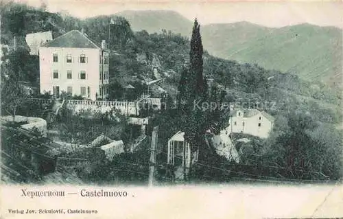 AK / Ansichtskarte  Castelnuovo Herceg Novi Montenegro Panorama