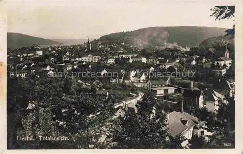 AK / Ansichtskarte  LIESTAL BL Panorama