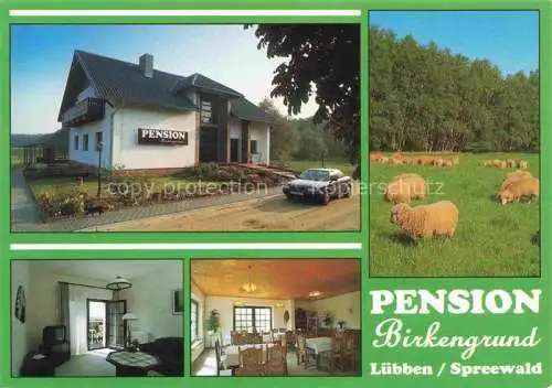 AK / Ansichtskarte  Luebben Spreewald Pension Birkengrund Gastraum Fremdenzimmer Schafherde