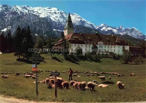 AK / Ansichtskarte  Schaeferei Sheperding Bergerie-- Schloss Elmau Wettersteingebirge 