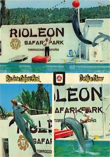 AK / Ansichtskarte  Delphine Dolphins Dauphins Delfines Rioleon Safaripark Tarragona Espana