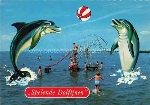 AK / Ansichtskarte  Delfine Delphine Dolphins Dauphins Delfines Harderwijk