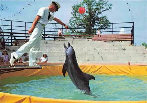 AK / Ansichtskarte  Delfine Delphine Dolphins Dauphins Delfines Kinderzoo Rapperswil Schweiz 