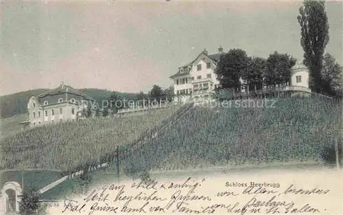 AK / Ansichtskarte  Heerbrugg Rheintal SG Schloss Heerbrugg