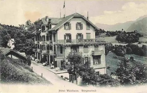 AK / Ansichtskarte  Buergenstock Vierwaldstaettersee NW Hotel Waldheim