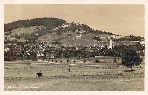 AK / Ansichtskarte  Dielsdorf ZH mit Regensberg