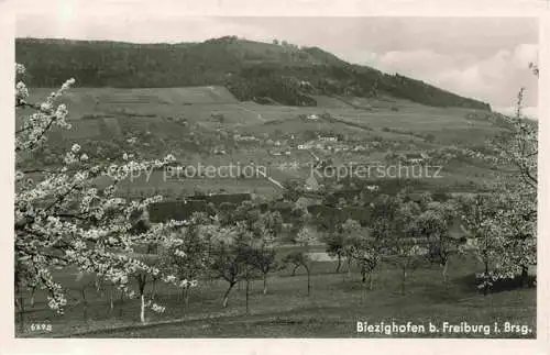 AK / Ansichtskarte  Biezighofen Wittnau Breisgau BW Panorama