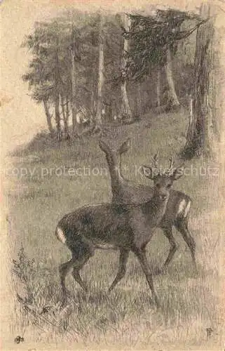 AK / Ansichtskarte  Rehe Roe Deer Chevreuil Corzo-- Wald 