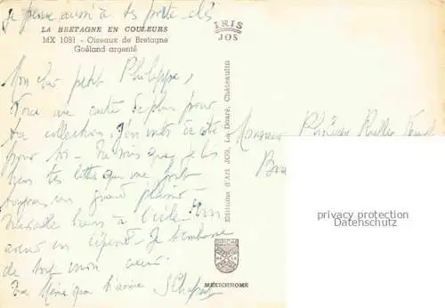 AK / Ansichtskarte  Tauben Pigeons Palomas-- Bretagne en Couleurs MX Nr. 1081 