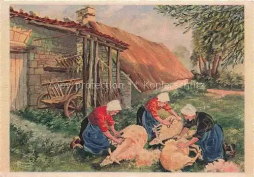 AK / Ansichtskarte  Schaeferei Sheperding Bergerie-- Tonte des Moutons France Litho