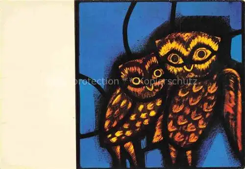 AK / Ansichtskarte  Eule Owl Hibou Chouette-- Taize eglise Reconciliation 