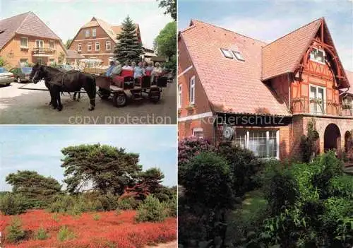 AK / Ansichtskarte  Doehle Café Pension Auetal Pferdewagen Landschaft Lueneburger Heide