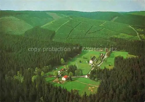 AK / Ansichtskarte  Festenburg Clausthal-Zellerfeld Oberharz Waldgaststaette Gruene Tanne