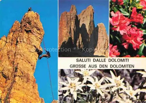 AK / Ansichtskarte  Klettern Bergsteigen Mountaineering Alpinisme Alpinismo-- Dolomiten Drei Zinnen Alpenrosen Edelweiss