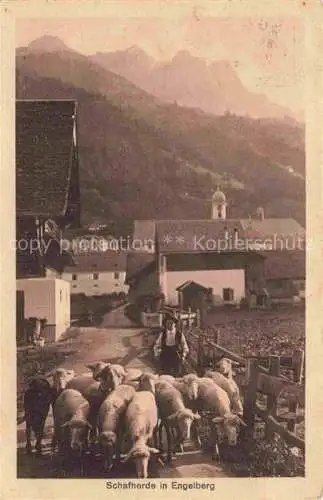 AK / Ansichtskarte  Engelberg  OW Schafherde Ortspartie