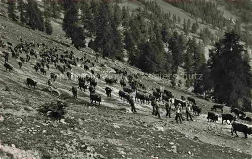 AK / Ansichtskarte  Iserables MARTIGNY VS La rentree du troupeau au chalet de Balavaud