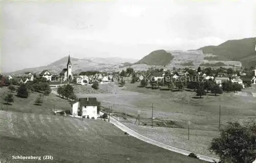 AK / Ansichtskarte  Schoenenberg Horgen ZH Panorama