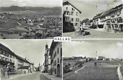 AK / Ansichtskarte  Hallau SH Panorama Ortspartien