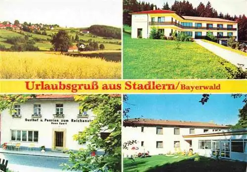 AK / Ansichtskarte  Stadlern  Schoensee Oberpfalz Hotel Gasthof Pension Reichenstein Schwalbenhof am Hochwald Landschaftspanorama