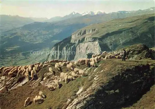 AK / Ansichtskarte  Schaeferei Sheperding Bergerie-- Alp Mora Flims Schweiz