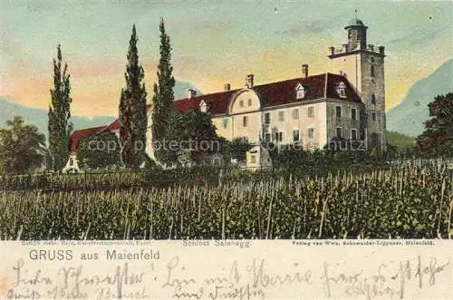 AK / Ansichtskarte  Maienfeld Mayenfeld GR Schloss Salenegg