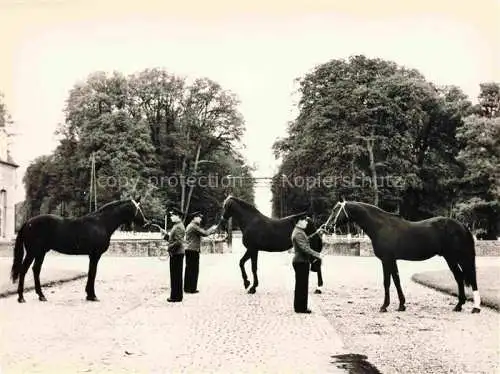 AK / Ansichtskarte  Haras du Pin ROUEN 76 Seine-Maritime Elope Euripide Hermes D Trotteurs francais