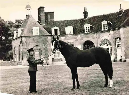 AK / Ansichtskarte  Haras du Pin ROUEN 76 Seine-Maritime Hermes D Etalon trotteur