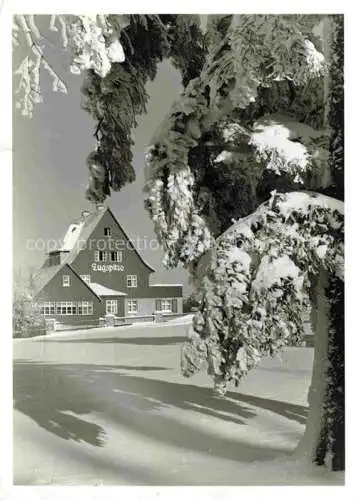 AK / Ansichtskarte  Waldidylle Altenberg Osterzgebirge Sachsen Fremdenhof und Cafe Zugspitze