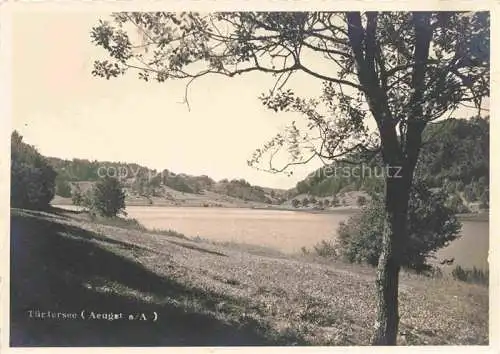 AK / Ansichtskarte  Tuerlersee Aeugst Albis ZH Panorama