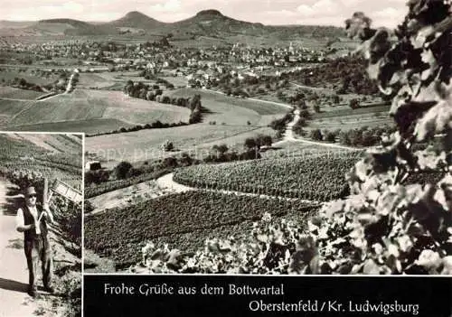 AK / Ansichtskarte  Oberstenfeld Ludwigsburg BW Panorama Winzer