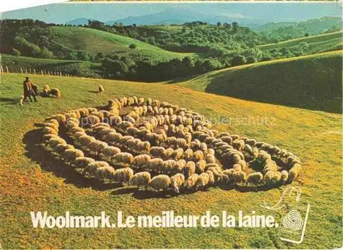 AK / Ansichtskarte  Schaeferei Sheperding Bergerie-- Woolmark Le meilleurde la laine