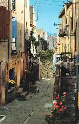 AK / Ansichtskarte  Collioure 66 Pyrenees-Orientales Rue pittoresque